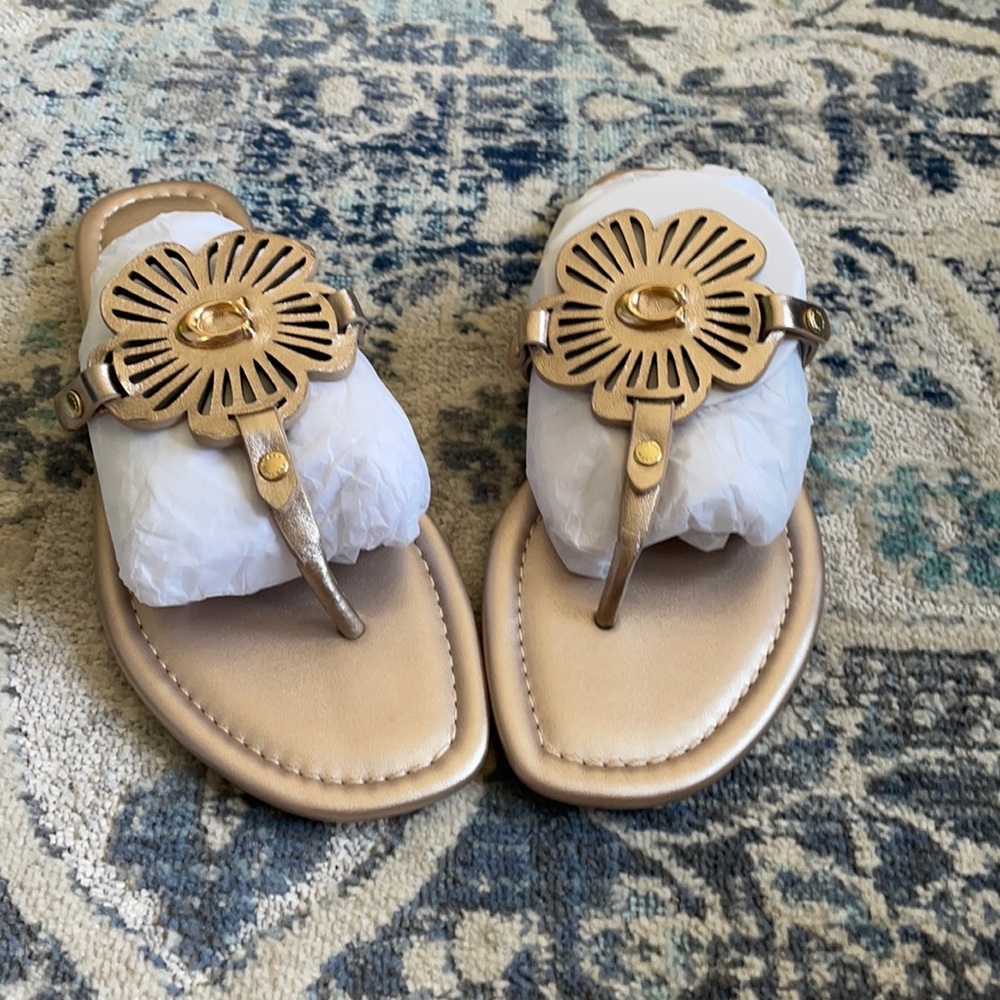 Coach Sandals
